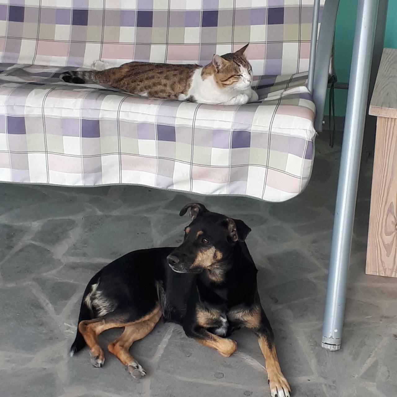 Bed & Breakfast 3 Gs Goght' Εξωτερικό φωτογραφία